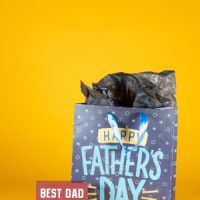 Fathers Day Collection