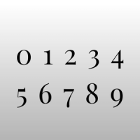 Petra Individual Numbers Charms - Solid acrylic